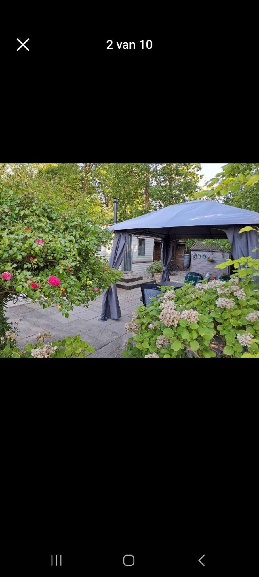 Campsite Dutch Calmness